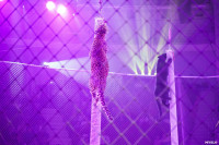 Шоу Гии Эрадзе «5 континентов» в Тульском цирке: феерия уже началась!, Фото: 82