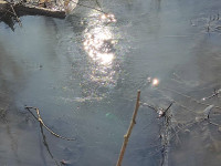 Прокуратура ищет виновника загрязнения реки Воронки нефтепродуктами, Фото: 3