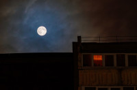 Бобровое суперлуние в Туле: фоторепортаж, Фото: 17