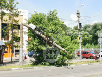 На ул. Оружейной в Туле упали два столба, провода оторвали трамваю пантограф, Фото: 2