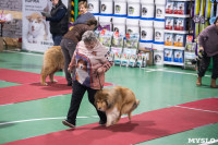 Выставка собак в Туле, Фото: 147