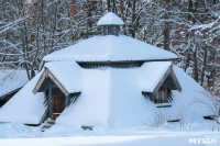 Снежное Поленово, Фото: 78
