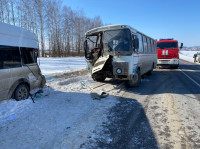 В Тульской области в ДТП с автобусом и маршруткой пострадали несколько человек, Фото: 1