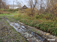 Село Панино десятки лет живет без дорог и воды, Фото: 33