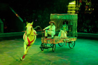 Цирк «Вива, Зорро!» в Туле , Фото: 68