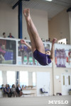 Соревнования по спортивной гимнастике на призы Заслуженных мастеров спорта , Фото: 45