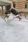 «Король и шут», Умка и женщина в дереве: туляки лепят снеговиков, Фото: 6