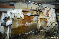 В Щекино жители десять лет борются за горячую воду, отопление и ремонт дома, Фото: 12