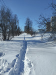 Туляк проинспектировал улицу Карпова, Фото: 5