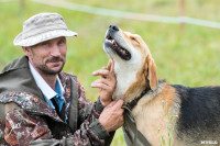 Выставка охотничьих собак в Туле, Фото: 28