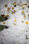 Первый снег в Туле, Фото: 23