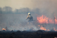 Сразу в нескольких районах Тульской области загорелись поля, Фото: 3