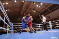 Финал турнира по боксу "Гран-при Тулы", Фото: 183