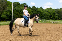 А пони тоже кони: 9-летняя тулячка – числе лучших в конном спорте по выездке, Фото: 21