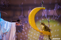 Театр кошек в ГКЗ, Фото: 72