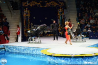 Цирк на воде «Остров сокровищ» в Туле: Здесь невозможное становится возможным, Фото: 82