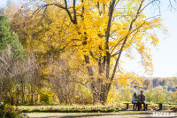 Золотая осень в Ясной Поляне, Фото: 35