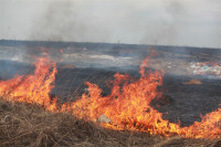 Возгорание сухой травы напротив ТЦ "Метро", 7.04.2014, Фото: 18