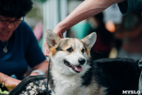 Всероссийская выставка собак в Туле, Фото: 23