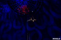 «В Тульском цирке прошла открытая репетиция программы «Цирк зажигает огни», Фото: 15