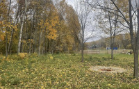 Домик в Ясной Поляне, Фото: 4