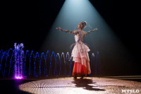 Шоу фонтанов «13 месяцев»: успей увидеть уникальную программу в Тульском цирке, Фото: 52