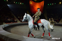 День Победы в Тульском цирке: большой концерт и патриотический спектакль, Фото: 172