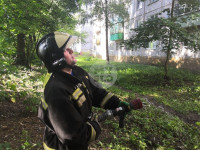 При пожаре на ул. Серебровской в Туле погибли три человека, Фото: 2