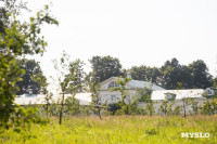 В Ясной Поляне стартовал фестиваль «Толстой»: фоторепортаж, Фото: 20