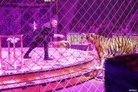 Шоу Гии Эрадзе «5 континентов» в Тульском цирке: феерия уже началась!, Фото: 89