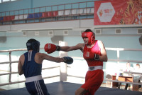 Первенство Тульской области по боксу, Фото: 43