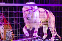 На каникулах – в Цирк больших зверей, Фото: 14