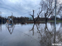 В Туле затопило Баташевский сад, Фото: 11