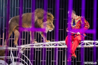 Шоу фонтанов «13 месяцев»: успей увидеть уникальную программу в Тульском цирке, Фото: 208