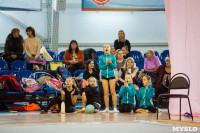 Соревнования по художественной гимнастике "Тульский сувенир", Фото: 59