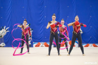 Соревнования по художественной гимнастике на призы благотворительного фонда «Земляки», Фото: 174