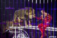 Шоу фонтанов «13 месяцев» в Тульском цирке – подарите себе и близким путевку в сказку!, Фото: 68