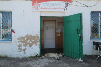 Выставка собак в Ленинском, Фото: 39
