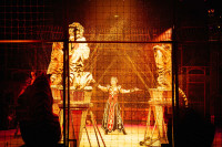 Новое грандиозное шоу Гии Эрадзе «Королевский цирк» стартует в Тульском цирке, Фото: 72