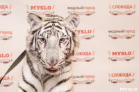 Цирк "Максимус" и тигрица в гостях у Myslo, Фото: 1