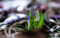 Весна идет!, Фото: 27