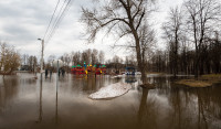 В Туле затопило Баташевский сад, Фото: 31