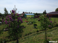 Детская площадка в Старо-Басово , Фото: 6