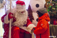 В Туле открылась резиденция Деда Мороза, Фото: 67