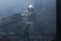 Пожар на хлебоприемном предприятии в Плавске., Фото: 19
