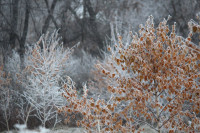 Тульский ноябрь, Фото: 6