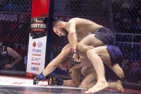 Битва за Тулу-2026, Фото: 247