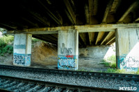 Рейд Myslo: в каком состоянии Тульские мосты, Фото: 58