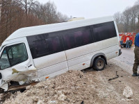 Восемь человек пострадали в ДТП с пассажирским автобусом в Тульской области, Фото: 7