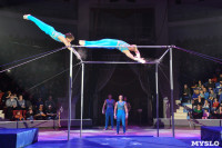 Цирковое шоу, Фото: 15
